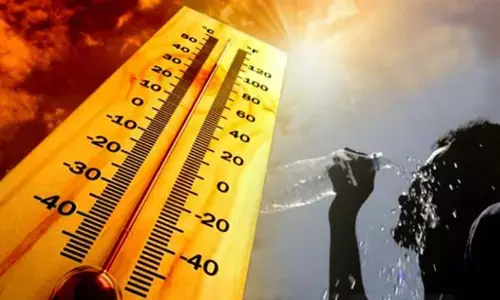 Heatwave Alert: केरल के पलक्कड़ में लू से 2 लोगों की मौत, देश के इन जिलों में अलर्ट जारी