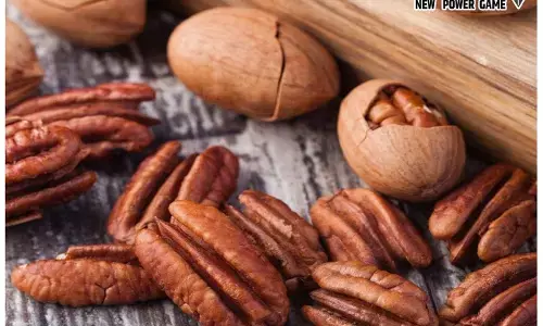 Pecans Health Benefits: अखरोट जैसा ये मेवा विटामिन बी 12 का है बेहतरीन सोर्स, डाइट में शामिल करने से मिलेंगे ये कमाल के फायदे भी...