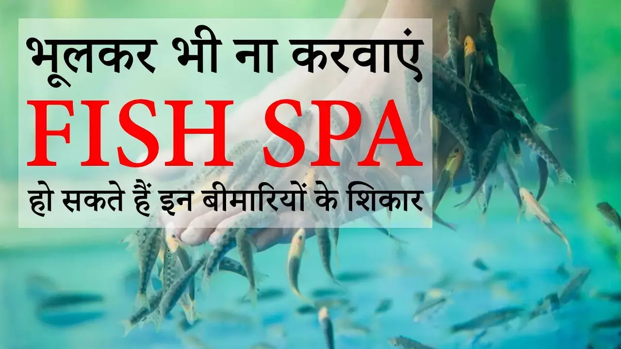 Fish Spa Side Effects : कहीं ऐसी सुंदरता पड़ ना जाएं भारी, क्या आप भी करवाते हैं Fish Spa