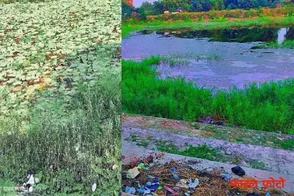 Chhattisgarh News: CG तालाबों को लेकर एनजीटी सख्‍त: छत्‍तीसगढ़ के जलाशयों पर सरकार से मांगी रिपोर्ट, पूछा-अतिक्रमण मुक्‍त करने क्‍या किया...