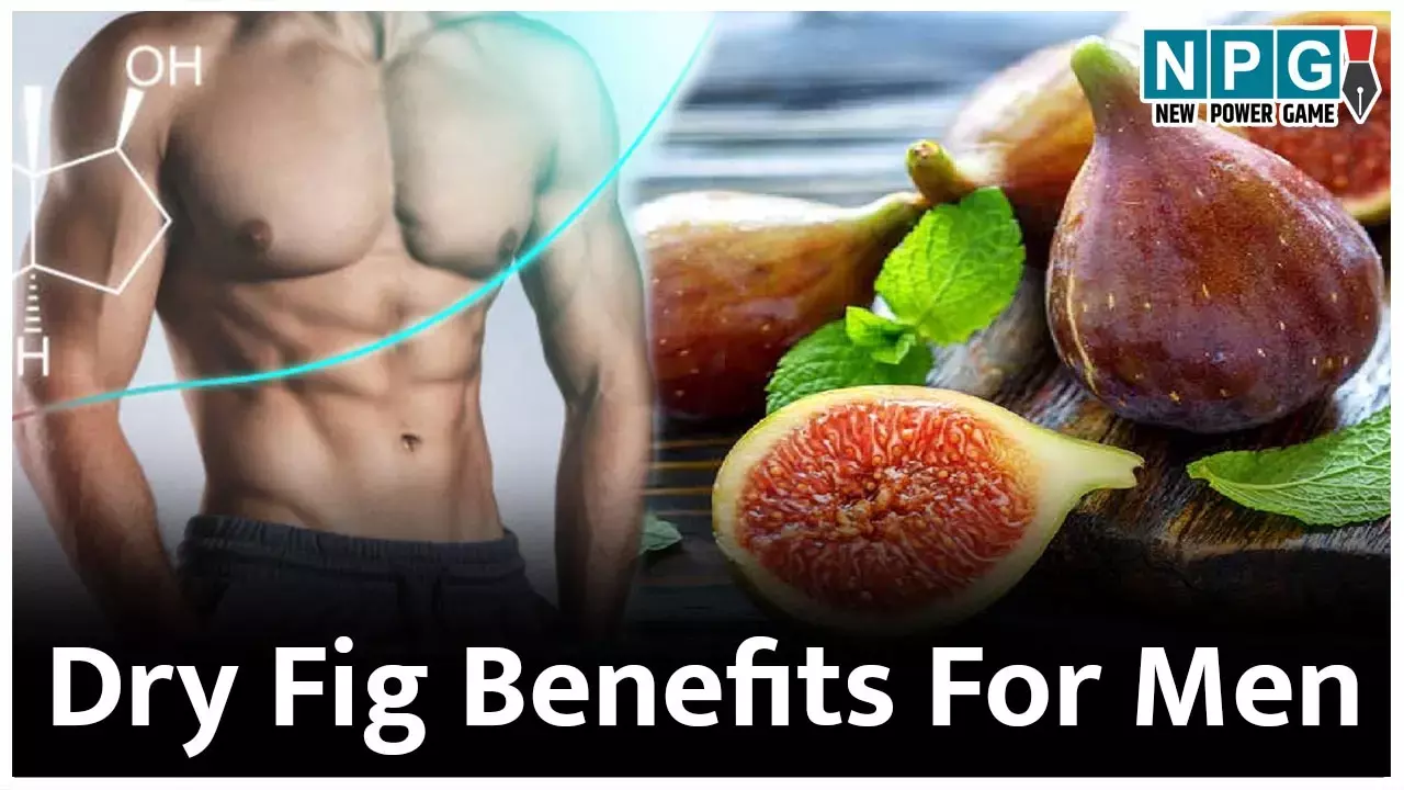 Dry Fig Benefits For Men