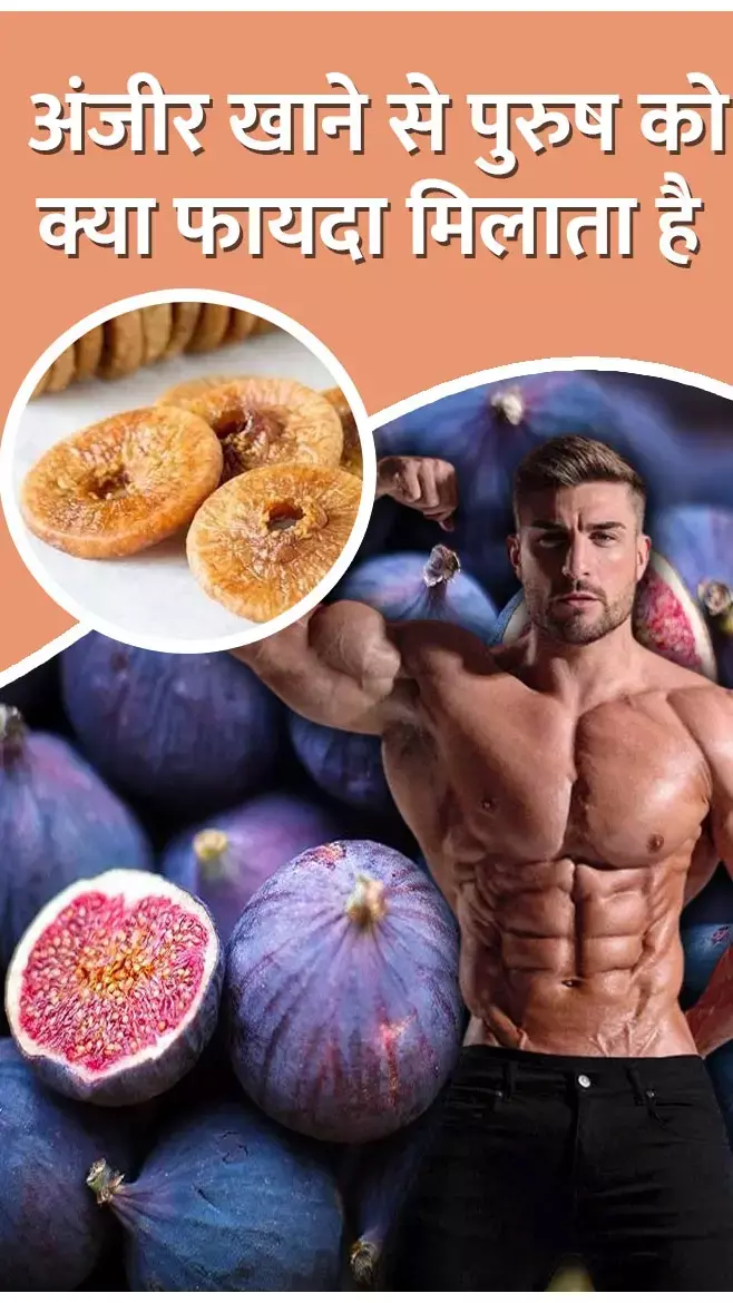 Anjeer Ke Fayde: पुरुष रोज अंजीर खाएं तो क्या फायदा होता है? जानिए यहां...