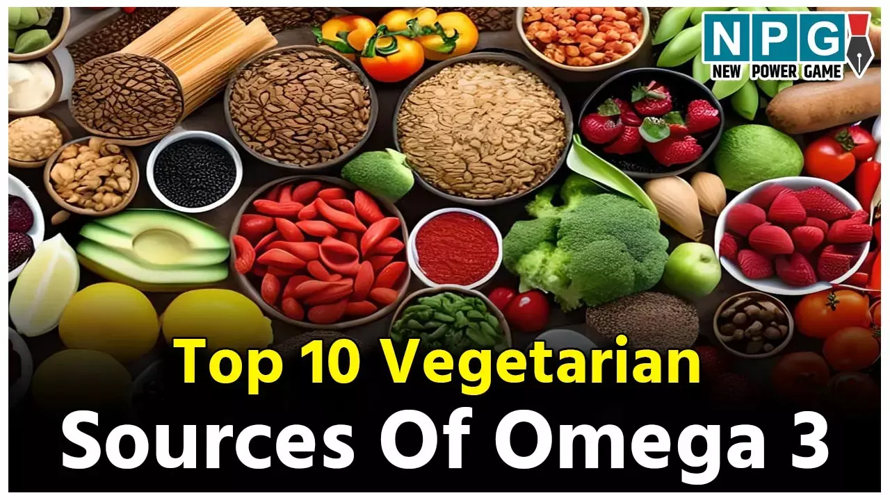 Top 10 Vegetarian Sources Of Omega 3: मछली नहीं खा सकते? तो इन टाॅप टेन वेजिटेरियन सोर्स से करें शरीर में ओमेगा 3 फैटी एसिड की कमी पूरी...