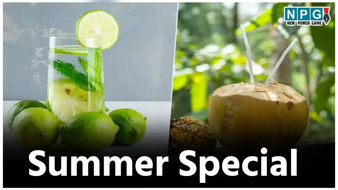 Summer Special: पुदीना, तुलसी और आंवला समेत ये चीज़ें हैं गर्मी के मौसम में आपकी साथी, अंदरूनी ठंडक पहुंचाने में इनका नहीं कोई तोड़...