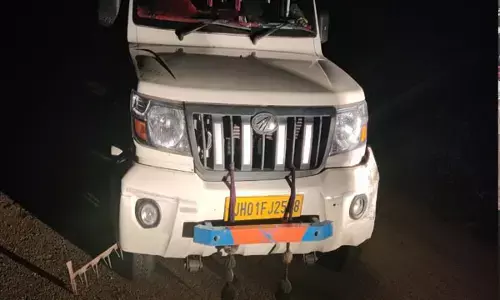 Jashpur News: फिल्मी स्टाईल में भाग रहे मवेशी तस्करी,  22 नग मवेशी जब्त