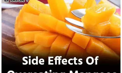 Side Effects Of Overeating Mangoes: फलों का राजा ज्यादा खाने पर दे सकता है सजा, लोभी न बनें, हाथ रोककर खाएं आम, वरना झेलने पड़ सकते हैं ये नुकसान...