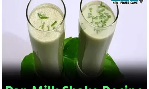 Pan Milk Shake Recipe: गर्मी में ठंडक और राहत ही नहीं देगा, गट हेल्थ भी बेहतर करेगा पान मिल्क शेक, पढ़िए इस रिफ्रेशिंग ड्रिंक की रेसिपी...