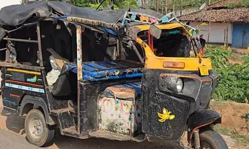 Jashpur Accident News: जशपुर में सड़क हादसा, दो बच्चों की मौत, 5 गंभीर, कैटरिंग का काम कर लौट रहे ऑटो सवार 10 लोगों को हाइवा ने मारी टक्कर...