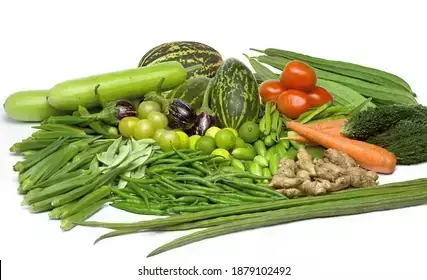 Summer Vegetables : गर्मी में खाएं ये सब्जियां...रहेंगे निरोगी और सेहतमंद