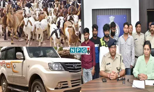 दुर्ग में बकरा चोर गिरोह का खुलासाः रात के अंधेरे में आते फिर लग्जरी गाड़ी में भरकर हो जाते थे फरार, प्लानिंग सुनकर उड़ जाएंगे होश...