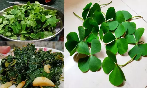 भाजी एक नाम अनेक... सुनसुनिया, तिनपनिया और चुनचुनिया भाजी, इसके जैसे अनेक नाम वैसे अनेक फायदे, Read Recipe and Benefits