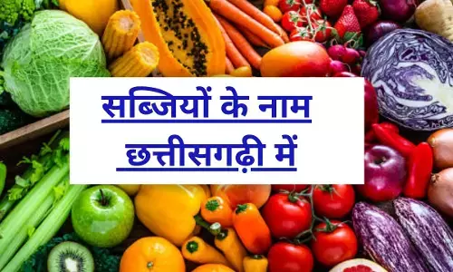 छत्तीसगढ़ में टमाटर को कहते हैं पताल, तो भिंडी को रमकेलिया... आइए जानें छत्तीसगढ़ में सब्जियों के अनोखे नाम