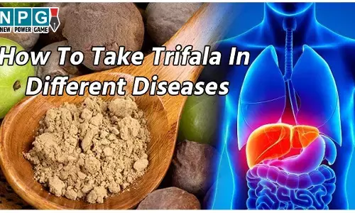 How To Take Trifala In Different Diseases: त्रिफला लेते हैं पर क्या जानते हैं कि कब घी, कब शहद और कब गुनगुने पानी के साथ इसे लेना चाहिए ? अगर नहीं जानते तो जानिए यहां...