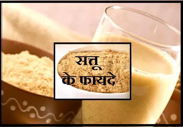 Sattu Benefits : सत्तू को कहा जाता है गरीबों का प्रोटीन, आइए जाने इसके अनगिनत फ़ायदें