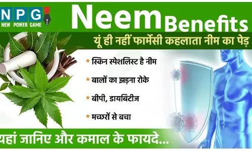 Neem Benefits: यूं ही नहीं फार्मेसी कहलाता नीम का पेड़, इसका हर हिस्सा है काम का, जानिए कमाल के फायदे...