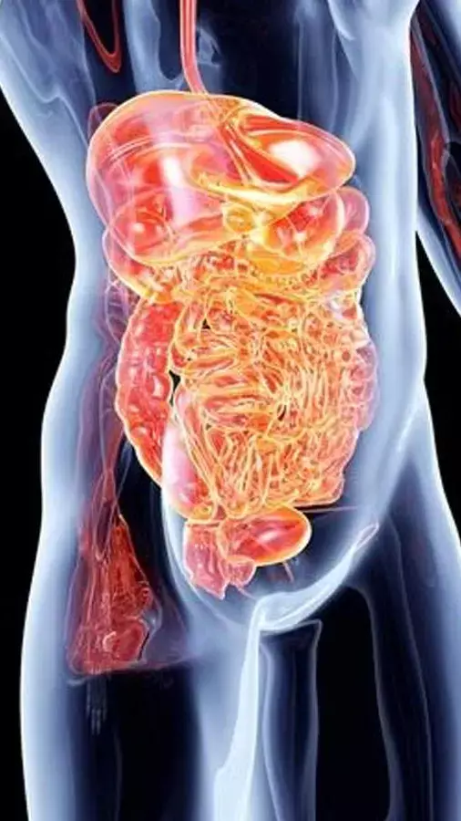 Triphala Tips: जानिए, कब त्रिफला घी, कब शहद और कब गुनगुने पानी के साथ लेना चाहिए...