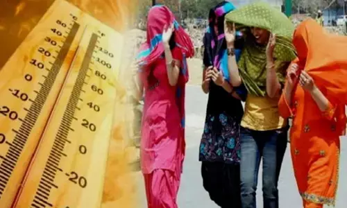 Heat Wave Delhi: दिल्ली में लू का कहर, पहली बार तापमान 50 डिग्री के पार, LG का फैसला, दोपहर 12 से 3 बजे तक काम नहीं करेंगे मजदूर