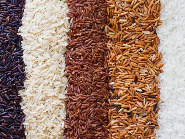 Which Rice is Best : कौन सा चावल सबसे बेहतर...white, Black, Brown  या Red Rice