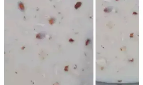 Chhattisgarhi Piyush Recipe : गाय या भैंस के पहले दूध की मिठाई छत्तीसगढ़ी पीयूष-खरवस... आइये जाने कैसे सेहत के लिए है वरदान, पढ़ें रेसिपी