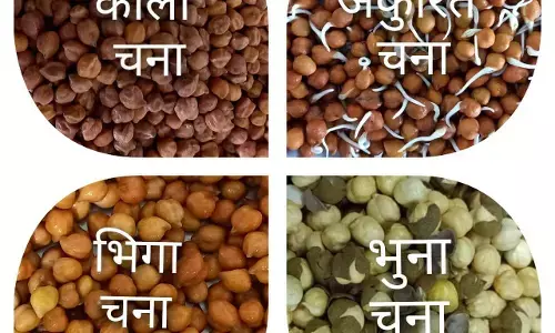 Chana Benefits : चना कैसे भी खाएं... चाहे भूनकर, उबालकर या फिर भीगोकर, हर तरीके से सेहत के लिए वरदान