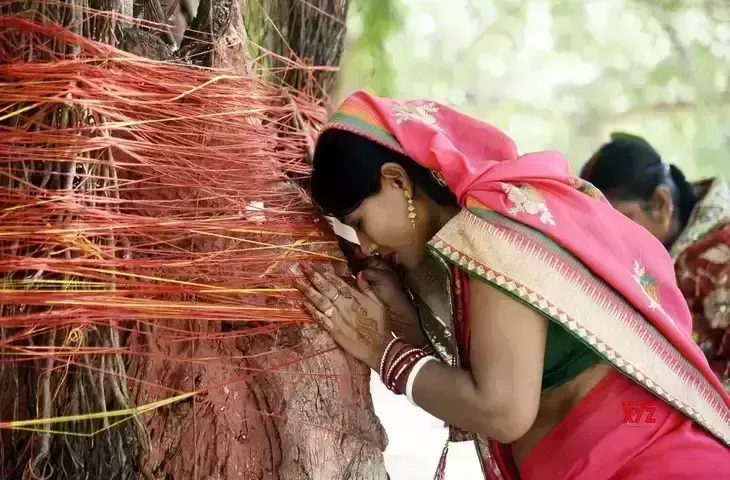 Vat Savitri Vrat 2024 : हर वट वृक्ष की पूजा न करें...वट  वृक्ष की डाल तोड़कर पूजा करना अशुभ