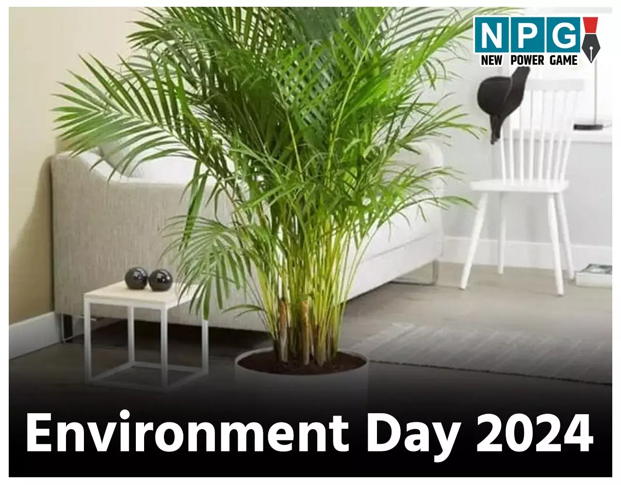 Environment Day 2024: बालकनी और घर के भीतर लगा लीजिए ये इनडोर प्लांट्स, हवा से सोख लेंगें विषैले तत्व, आपको और पर्यावरण को होगा बहुत फायदा...