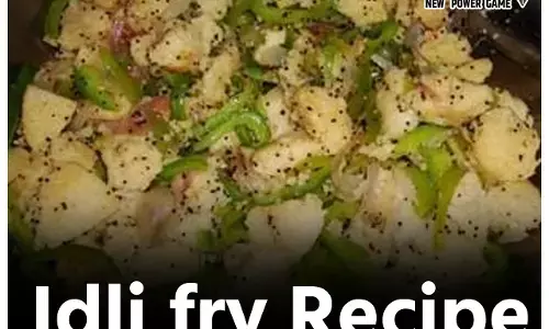 Idli Fry Recipe: बची हुई इडली से बनाइए इडली फ्राई, वो भी चायनीज़ अंदाज़ में, मिनटों में होगा नया नाश्ता रेडी...