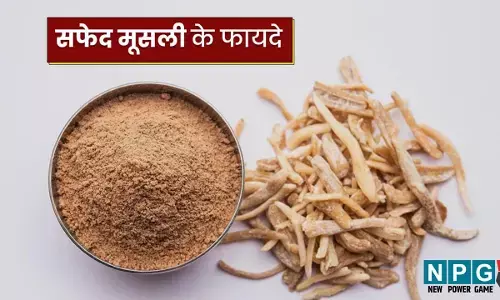Safed Musli Benefits: क्या सिर्फ पुरुषों के लिए फायदेमंद है सफेद मूसली? जी नहीं, लेख पढ़कर जानिए अन्य कमाल के फायदे...