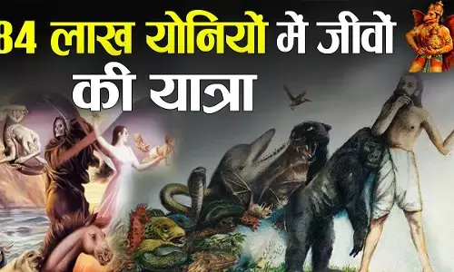 Karma Theory and Birth : आपके कर्म तय करते हैं कि आप किस योनि में जाएंगे...पशु-पक्षी या इंसान