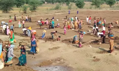 Chhattisgarh News: छत्‍तीसगढ़ ने तोड़ा रिकार्ड: 6 महीने में टूटा 4 साल का रिकार्ड, मनरेगा में बना नया कीर्तिमान,