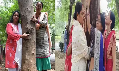 Bhopal Chipko Movement: भोपाल में चिपको आंदोलन, पेड़ से लिपटकर रोने लगी महिलाएं, मंत्रियों के बंगले के लिए काटे जाएंगे 29 हजार पेड़
