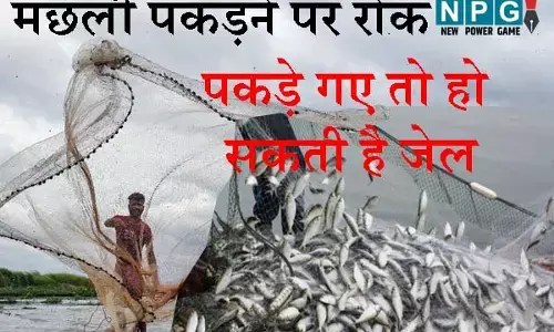 Chhattisgarh News: CG मछली पकड़ने पर सरकार ने लगाई रोक: 15 अगस्‍त तक ऐसा किया तो होगी 1 साल की सजा, लग सकता है जुर्माना भी