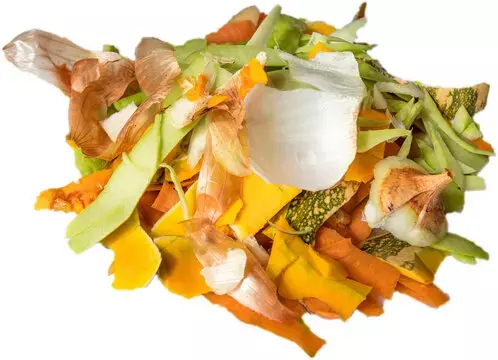 Vegetables Peels are very  Beneficial : कुछ सब्जियों के छिलके बहुत फायदेमंद, छिलकर ना करें बरबाद