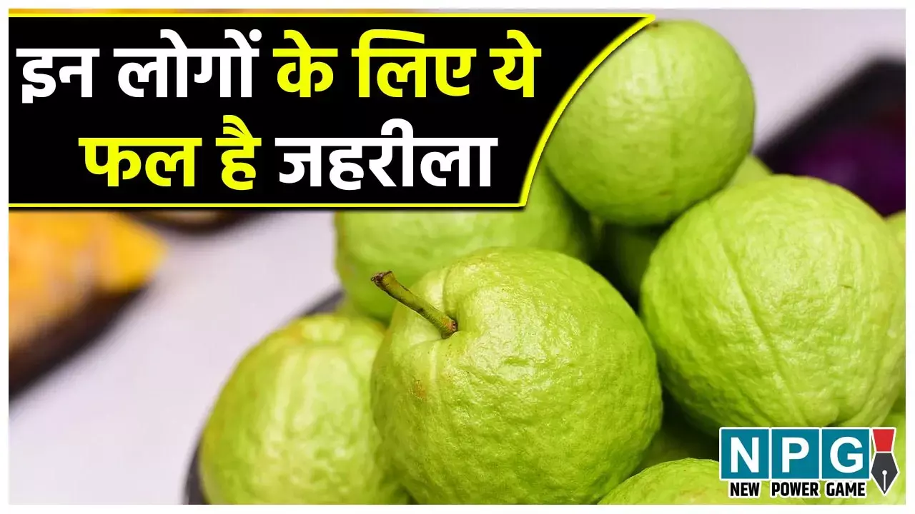 Guava Side Effects: इन खास लोगों के लिए नुकसानदायक है अमरूद का सेवन, जानें आप तो उनमें शामिल नहीं...