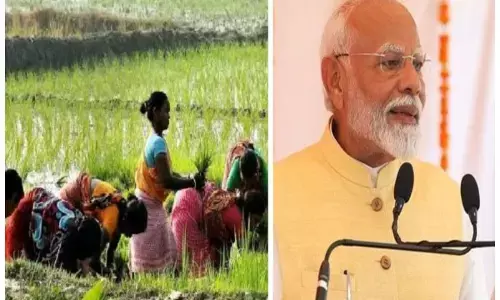 Krishi Sakhi Yojana 2024: जानें क्या है कृषि सखी योजना, ट्रेनिंग के साथ-साथ होगी कमाई, सालाना इतनी इनकम