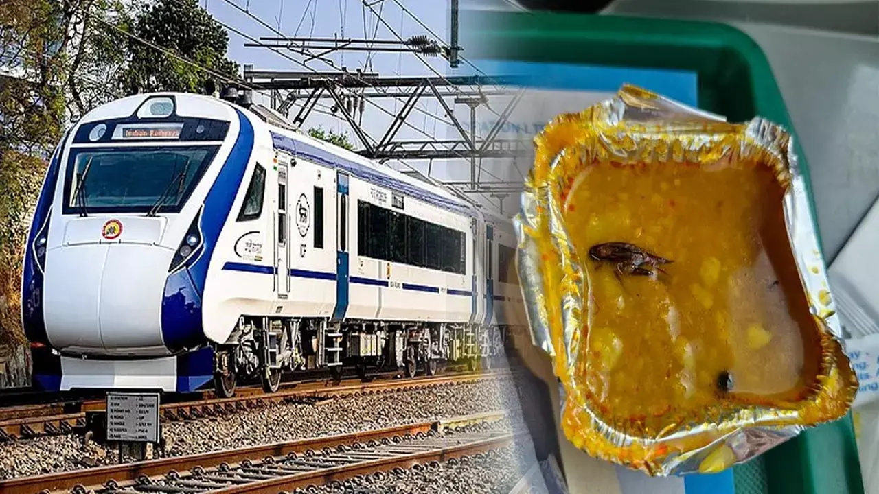 Vande Bharat Train: ओ भाई ये क्या... वंदे भारत ट्रेन के खाने में मिला कॉकरोच, हुआ जमकर बवाल, देखिए वायरल तस्वीर....