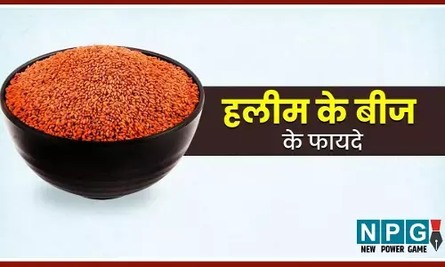 Halim Seeds Benefits: किशोरावस्था से बुजुर्गियत तक महिलाओं के लिए बेहद फायदेमंद हैं हलीम के बीज, जानिये कैसे...