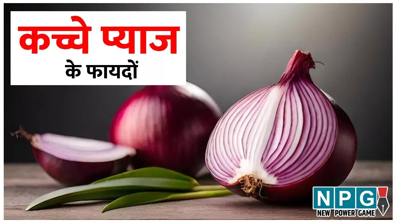 Raw Onion Benefits: कच्चे प्याज के इन खास 15 फायदों को जान जाएंगे तो और बढ़ जाएगा खाने का आनंद...