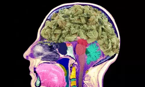 ANTI DRUGS DAY 2024 SPECIAL : दिमाग की कार्यप्रणाली को बाधित करती है गांजा, करोड़ों का गांजा फूंक रहे रायपुरवासी