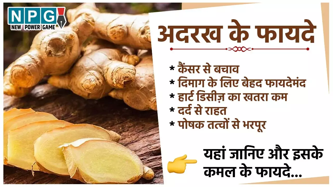 Ginger Health Benefits: आधा इंच का अदरख का टुकड़ा करेगा कमाल, मोटापे से लेकर इन बड़ी-बड़ी समस्याओं से मिलेगी राहत...