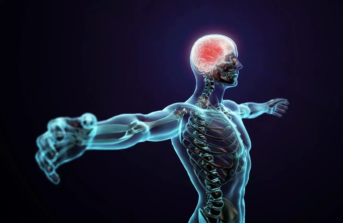 Nervous System Function : सांस लेना, हिलना-डुलना यहाँ तक याददाश्त के लिए भी ज़िम्मेदार Nervous System, जरा भी लापरवाही पड़ेगी भारी