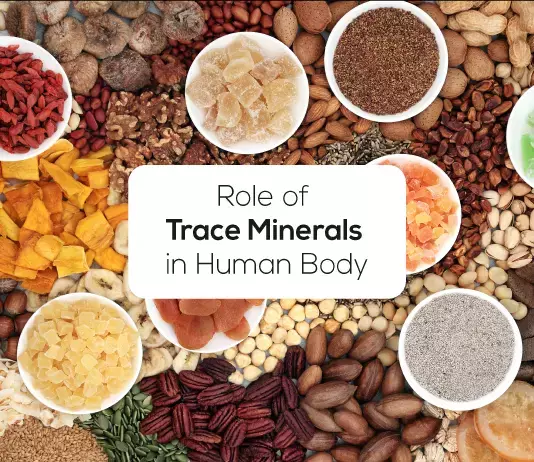 Trace Minerals : क्या आप जानते हैं ट्रेस मिनरल्स के बारे में... और शरीर के लिए है कितना जरूरी
