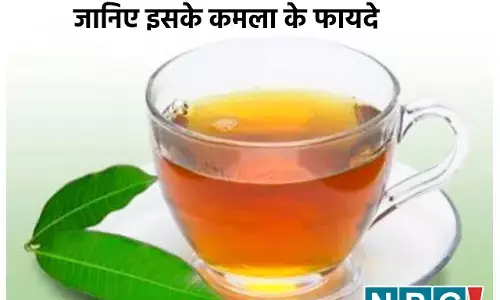 Mango Leaves Water Benefits: आम के पत्तों को उबाल-छान कर पिएं पानी, इन विटामिनों की गोलियों की नहीं पड़ेगी ज़रूरत, कई बीमारियों से भी मिलेगी राहत...