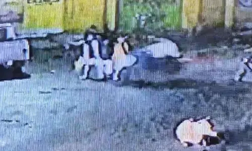 Raigarh News: छत्तीसगढ़ में 35 लाख के जेवरात की लूट, बाइक सवार लूटेरे महिला कर्मचारी के हाथों से बैग छीनकर भागे, CCTV वीडियो आया सामने...