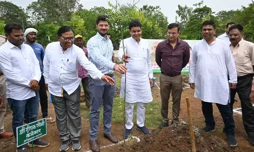 Raipur News: राजस्व मंत्री ने पेड़ लगाकर ‘एक पेड़ अपनी मां के नाम अभियान‘ की शुरुआत