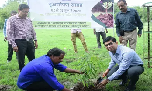 MP News: मध्य क्षेत्र विद्युत वितरण कंपनी सहित सब-स्टेशनों और रहवासी कालोनियों में रोपे गए पौधे