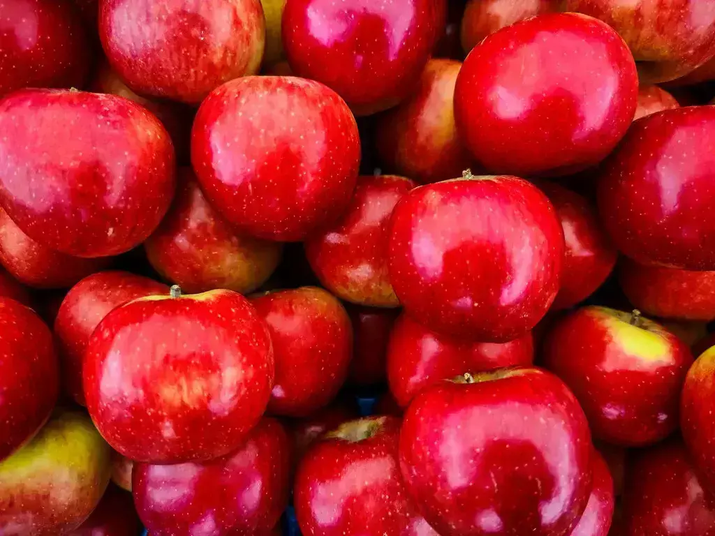 Wax on Apples : रोज एक लाल-लाल सेब खाओ, डॉक्टर के पास जाओ, सेब में केमिकल वाले रंग और मोम की ऐसे करें जाँच