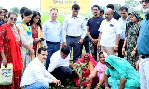 MP News: “एक पेड़ माँ के नाम” अभियान में ग्राम खारखेड़ी में किया गया पौध-रोपण