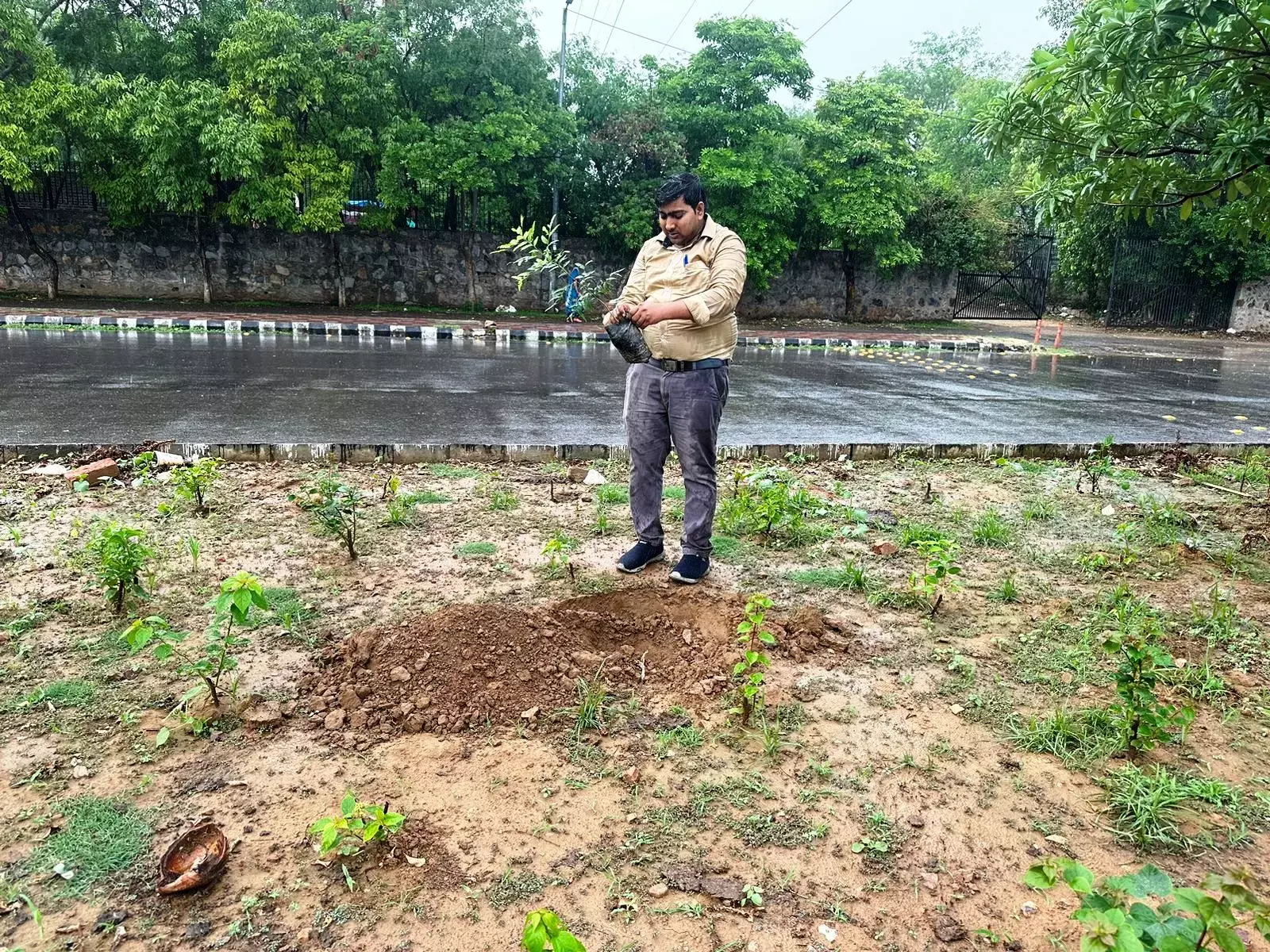 Raipur News: नई दिल्ली में ‘एक पेड़ माँ के नाम’ अभियान के तहत छत्तीसगढ़ जनसंपर्क विभाग का वृक्षारोपण