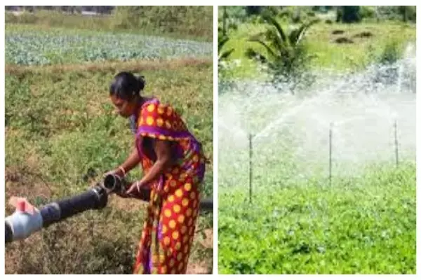 PM Krishi Sichai Yojana 2024: अब बंजर जमीन भी उगलेगी सोना, किसानों को सब्सिडी पर सिंचाई उपकरण देने के साथ ही खेतों में पहुंचाया जाएगा पानी, जानें योजना में और क्या है खास?